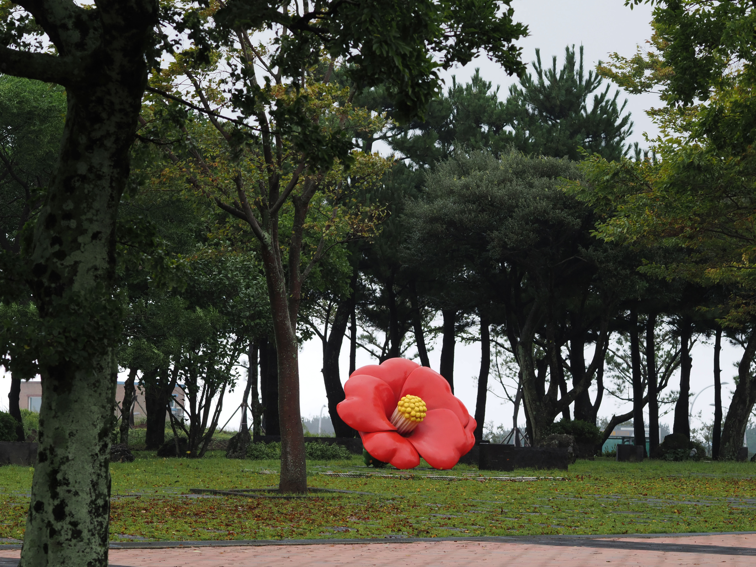 済州４・３平和公園内。木々の間に、赤い花びらの椿のオブジェがある。冬の寒さの中に咲き、雪の中に花首が落ちていく椿は、４・３事件の犠牲者の象徴でもあるという。