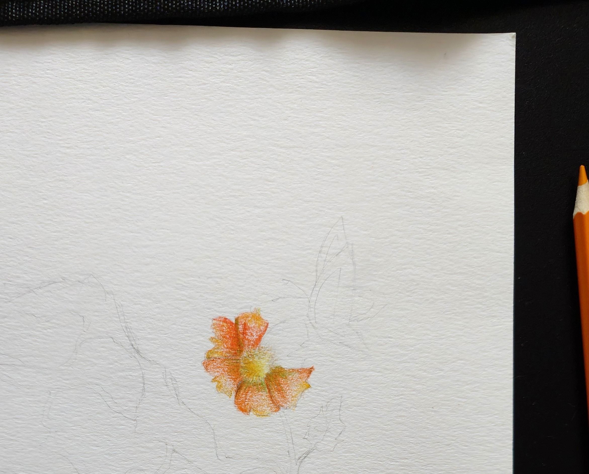 画用紙の中央下に描かれたオレンジ色の花びらと、下書きの線が残る描きかけのイラスト。紙の横には色鉛筆が置かれている。