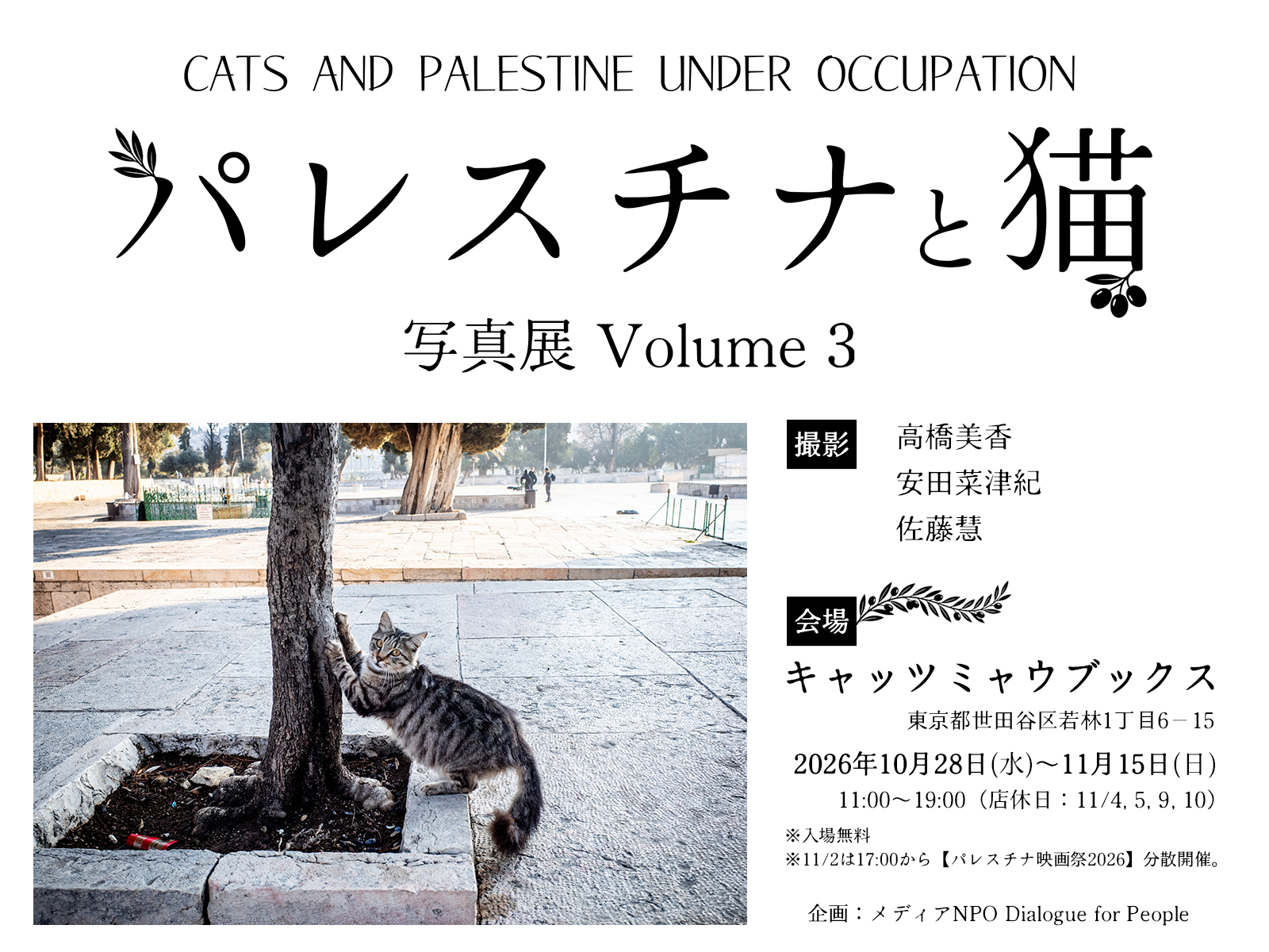 「CATS AND PALESTINE UNDER OCCUPATION パレスチナと猫 写真展 Volume 3」の案内画像。石畳に佇む猫の写真とともに、撮影者（高橋美香、安田菜津紀、佐藤慧）、会場（キャッツミャウブックス／東京都世田谷区若林1丁目6-15）、会期（2026年10月28日水曜日〜11月15日日曜日 11:00〜19:00、店休日：11/4, 5, 9, 10）、入場無料、企画（認定NPO法人 Dialogue for People）などの詳細が掲載されている。